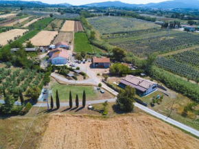 Agriturismo Ferri